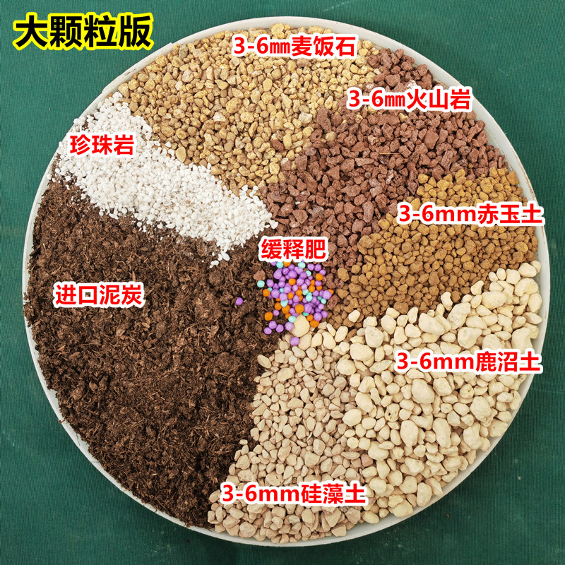 十二卷专用配方土 玉露土 玉扇土 寿  万象土 多肉纯颗粒土营养土 - 图1