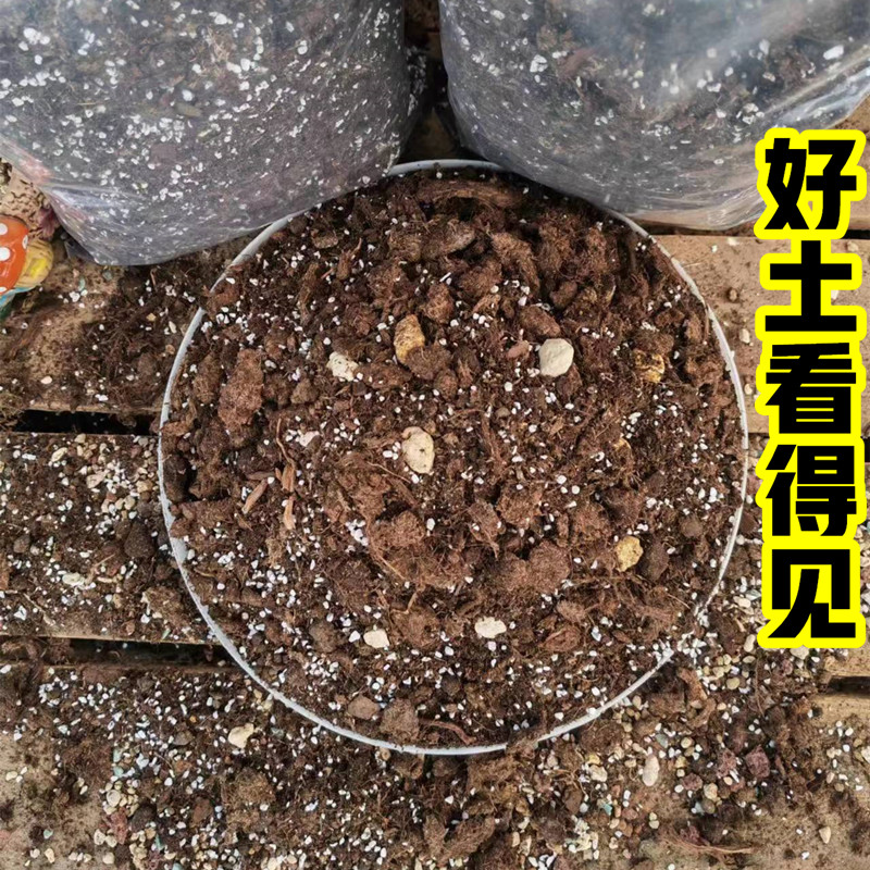 天南星科专用土龙鳞春羽龟背竹海芋秋海棠蔓绿绒花烛营养土种植土 - 图0