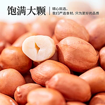 淘金币13新花生仁800g生的商用批发不带壳[4元优惠券]-寻折猪