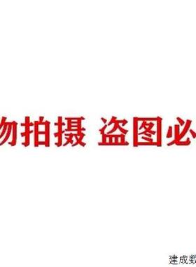 议价全新原装正品 AB罗克韦尔 1734-IE2V 模块 实物拍摄 现货销售