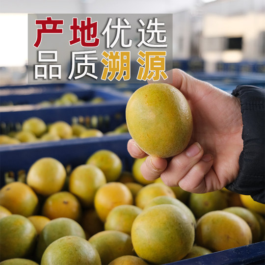 永福黄金罗汉果干果泡茶正品低温脱水非冻干小包装广西桂林特产