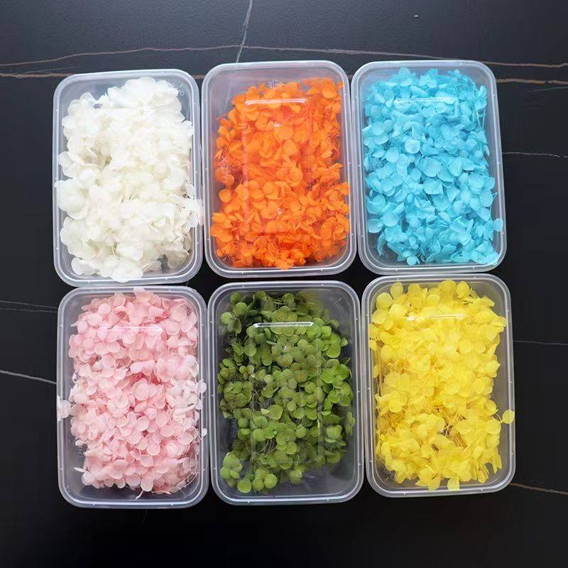 【永生绣球花】安娜绣球木绣球花玻璃罩相框装饰手工diy材料包5g,淘宝优惠券,粉丝福利购,淘宝优惠卷