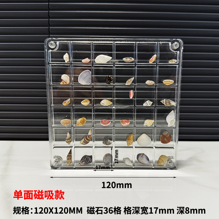 微贝画框高透亚克力贝沙贝壳相框天然迷你小贝壳海螺标本收藏盒,淘宝优惠券,粉丝福利购,淘宝优惠卷
