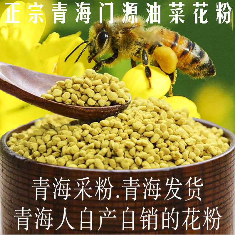 青海油菜花粉门源新鲜蜂花粉未破壁500g-图2