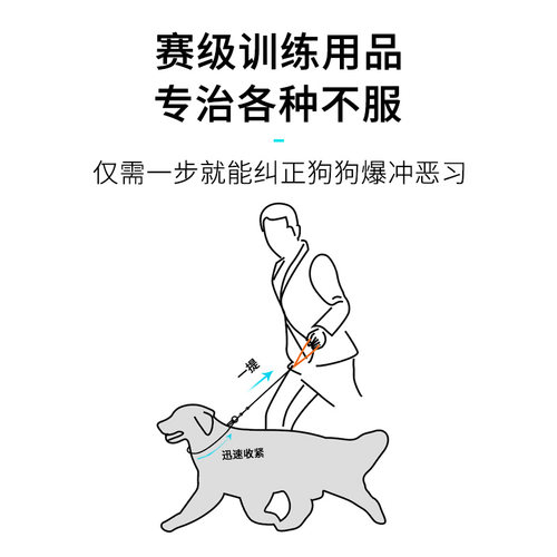 一体式防爆冲专业训犬超细P字链柯基柴犬训练比赛牵引绳BEAUGO - 图0
