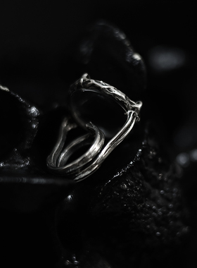 925银戒指Kammerhopa夸张