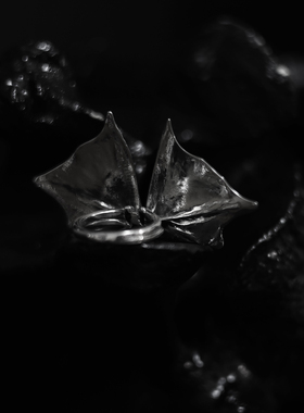 银戒指KammerhopaS925设计师小众