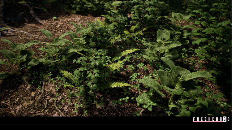 UE4虚幻5写实树林岩石溪流山林场景森林密林灌木碎石场景素材-图2