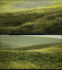 UE5 Unreal Realistic Grass Film and Television Grade Grassland Wind Blowing Grass Grass Material Material Scene
