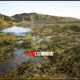 UE4 Unreal UE5 Forest Lakeside House Mountain Forest Snow Mountain Grassland Forest Seaside River Natural Scene Collection