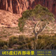 UE5 Unreal Realistic Western Dry Yellow Stone Rock Wall Desert Gobi Cliff Desert Rock Scene Environment