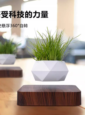 反重力磁悬浮花盆办公桌装饰摆件