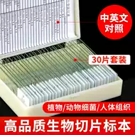 细菌显微镜 新人首单立减十元 21年8月 淘宝海外