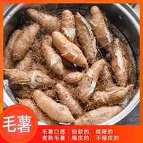 2023 lush with sweet potato yam fresh piggy fries now dig for a soft glutinous sweet fries and fries and fries.