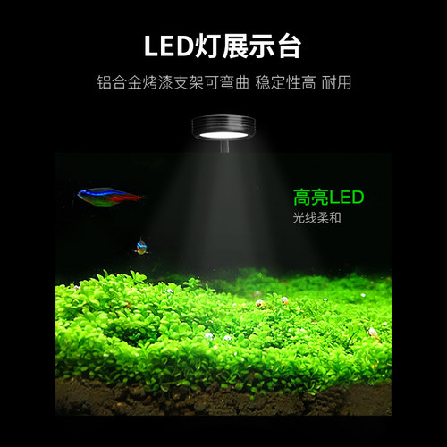 桌面水景缸水族箱小型水族箱造景小型水草缸全套DIY小水草鱼缸 - 图0