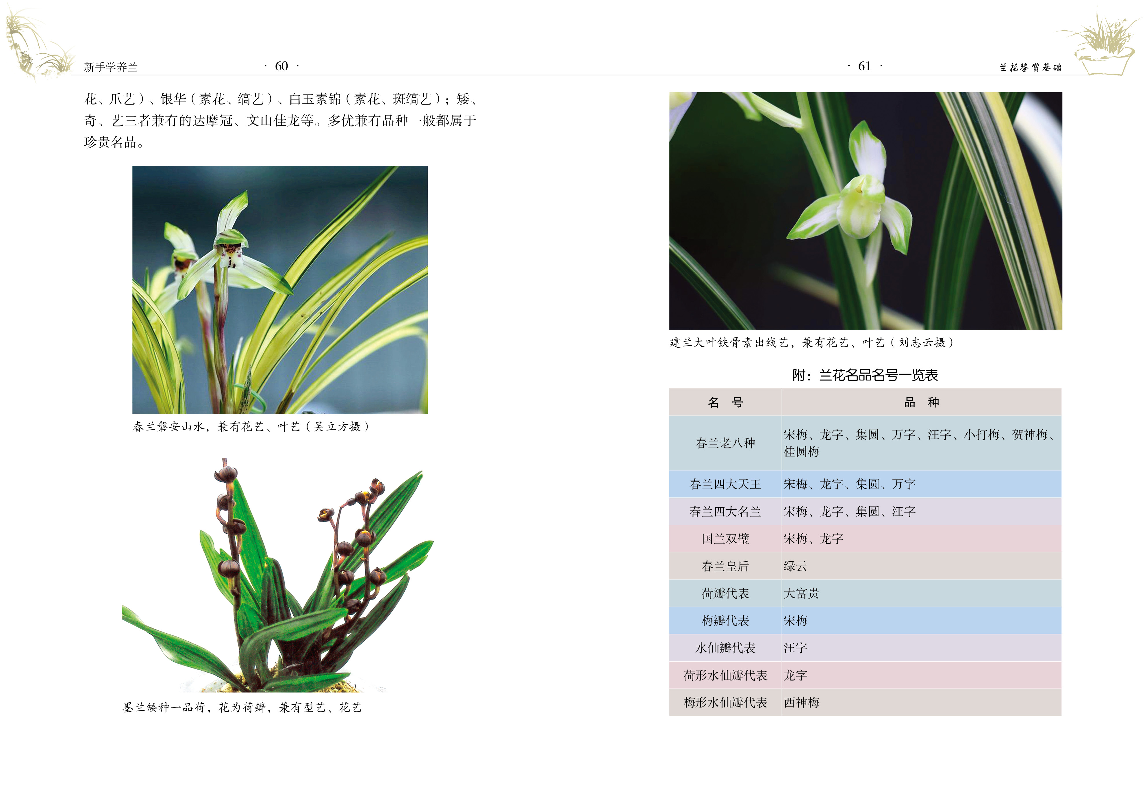 【官方旗舰店】新手学养兰养兰一本通兰花病虫害诊治实用手册兰花病虫害防治书新手兰花栽培技术书兰花书籍黑斑病炭疽病-图0