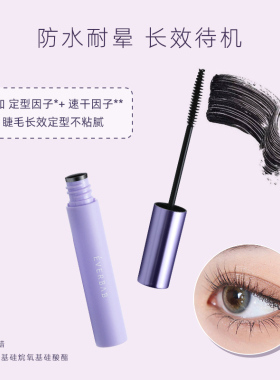 咨询惊喜价everbab睫毛膏