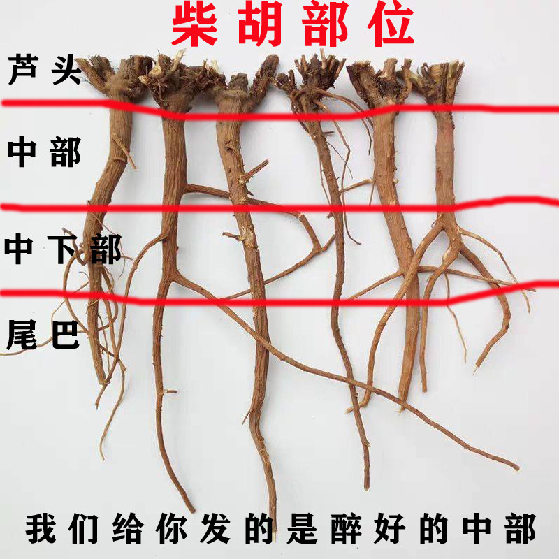 柴胡中药500g包邮北柴胡中药材中草药北柴胡根经方柴胡,淘宝优惠券,粉丝福利购,淘宝优惠卷