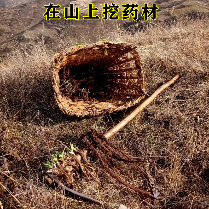 柴胡中药500g包邮北柴胡中药材中草药北柴胡根经方柴胡,淘宝优惠券,粉丝福利购,淘宝优惠卷