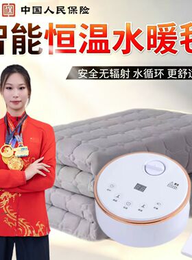 水暖电热毯水暖毯水电褥子水热毯水循环双人床垫炕除螨恒温加