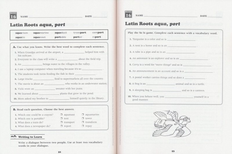 英文原版 Scholastic 240 Vocabulary Words Kids Need to Know 小学1-6年级 孩子需要知道的240个英语单词词汇 美国学乐英语词汇