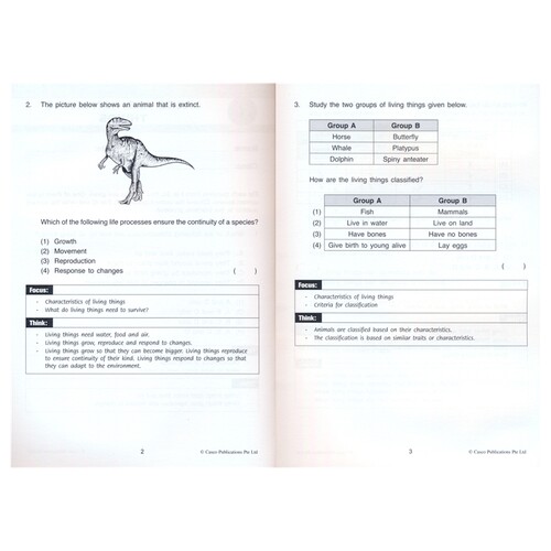 Casco Focus And Think Science Primary 3-6 新加坡科学 聚焦和思维 课外练习册 英文教辅 3-6年级 英文原版进口图书 - 图3