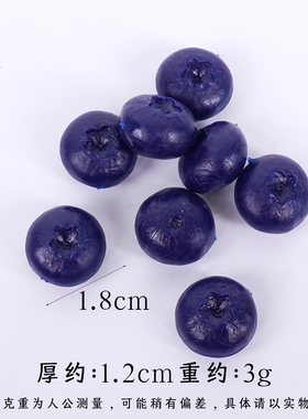 仿真水果蓝莓模型装饰品食物玩具