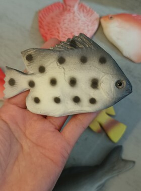仿真鱼模型彩色玩具海洋生物摆件