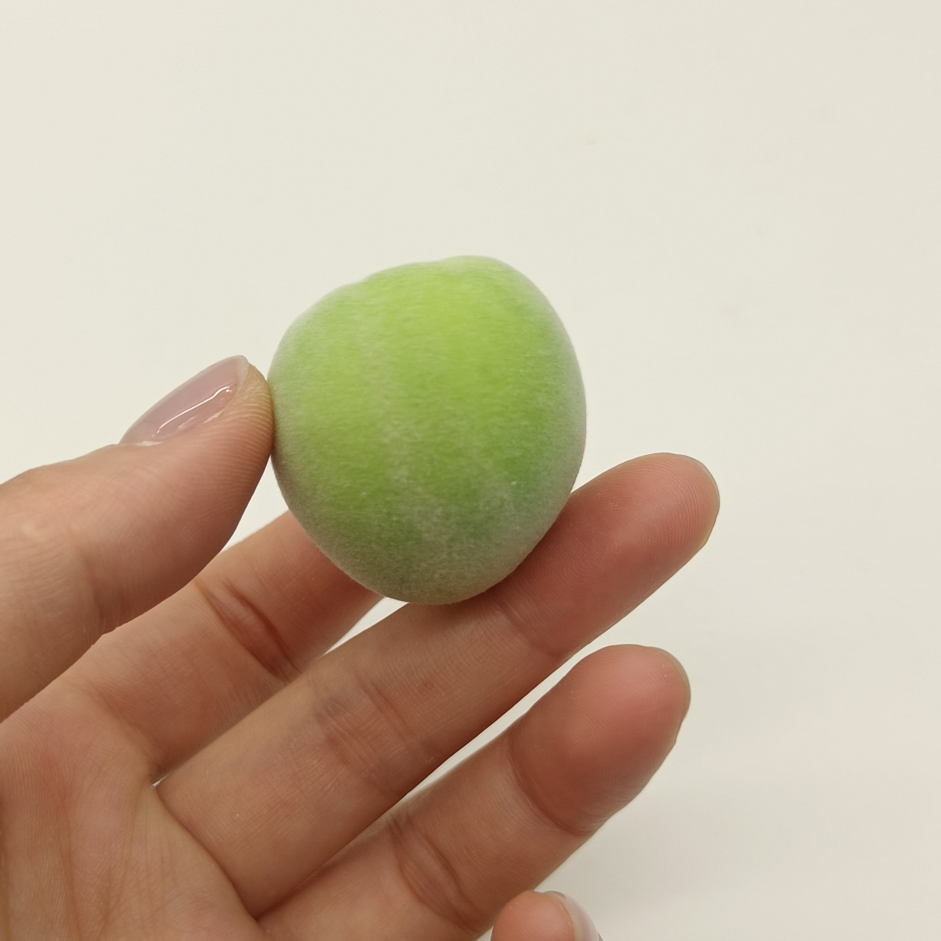 仿真青梅假水果盘模型假杏子厨房客厅装饰影视拍摄小道具摆台样品,淘宝优惠券,粉丝福利购,淘宝优惠卷