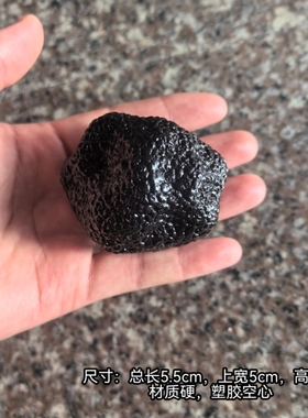 仿真竹荪模型假蘑菇蔬菜摆件道具