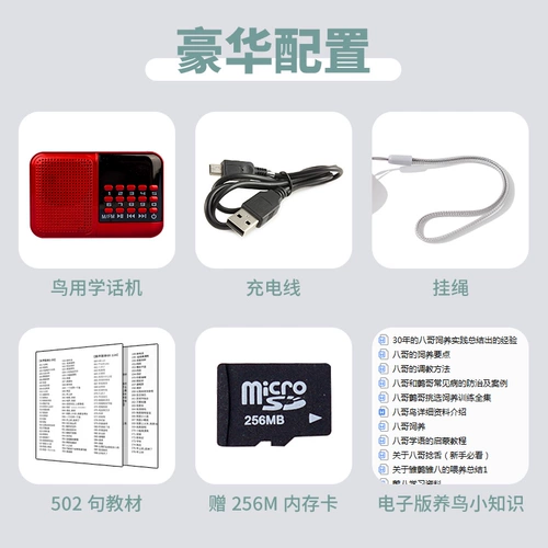 Penalian Akihiya Young Bird Learning Machine Machine Parrot