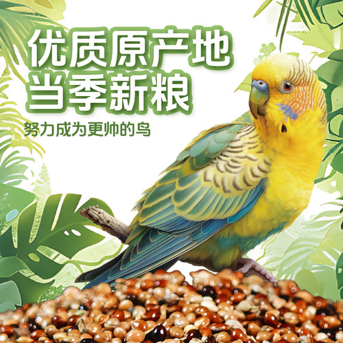 鹦鹉鸟粮虎皮牡丹玄风专用营养混合粮中小型种子鸟食黍子非饲料 - 图2