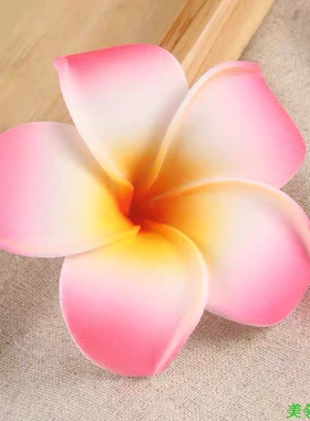 美容院托盘鸡蛋花装饰花水疗托盘