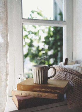 尤加利叶蕾丝破窗静物二店道具