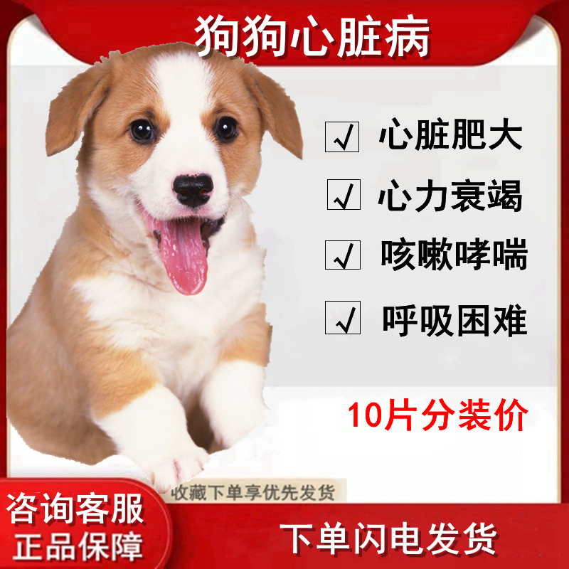 猫病肺 新人首单立减十元 21年9月 淘宝海外