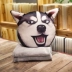 Husky Qiha gối chăn kép sử dụng đệm ngủ nap chăn ba trong một nhung nhung văn phòng - Trở lại đệm / Bolsters