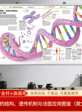 遗传机制与法医应用图鉴DNA的结构生物学挂画科研思维导图装饰画