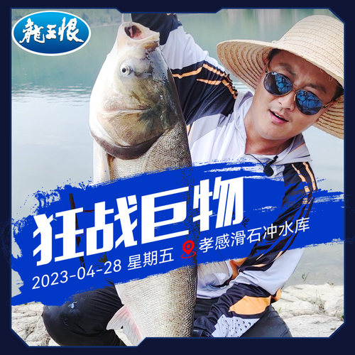 龙王恨破浪三代鱼竿综合竿黑坑鲫鱼竿大物竿钓鱼竿手竿轻量 - 图1