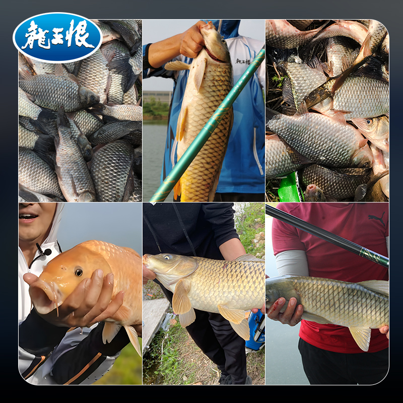 龙王恨鱼饵无畏江湖钓鱼饵料香腥鲫鱼饵野钓鲫鱼鲤鱼草鱼窝料鱼食-图1