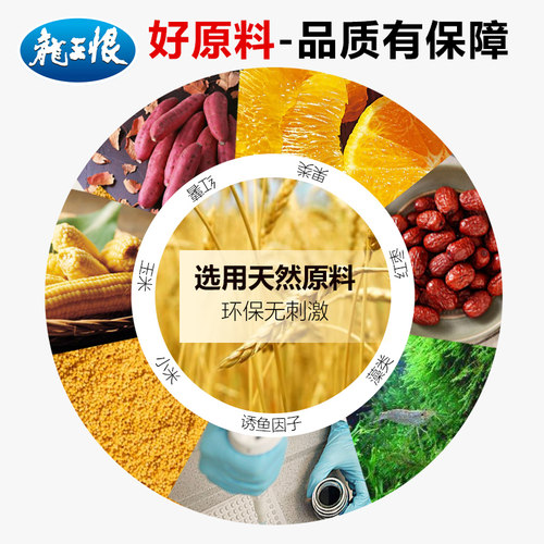 龙王恨饵料野战蓝鲫x5鲫鱼饵料野钓鲤鱼专用钓鱼打窝料鱼食饲料 - 图2