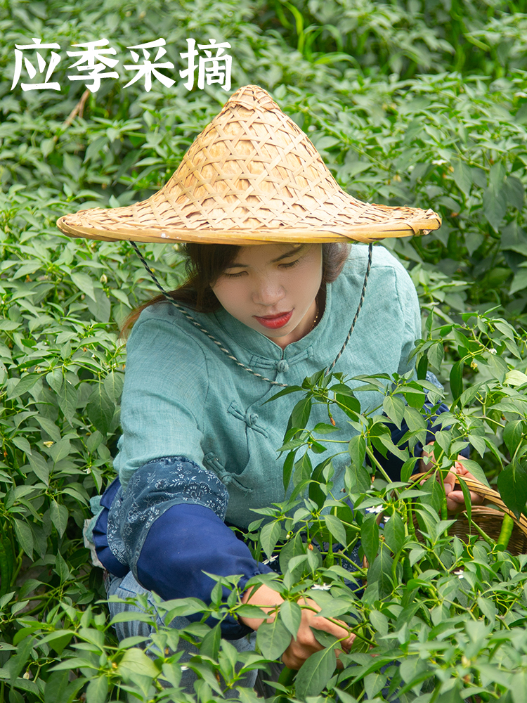 新一代干辣椒特辣七星椒朝天椒辣椒面子弹头辣椒干货烧烤料腌撒料 - 图1