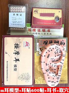 丰帆耳朵穴位模型耳贴耳部反射区