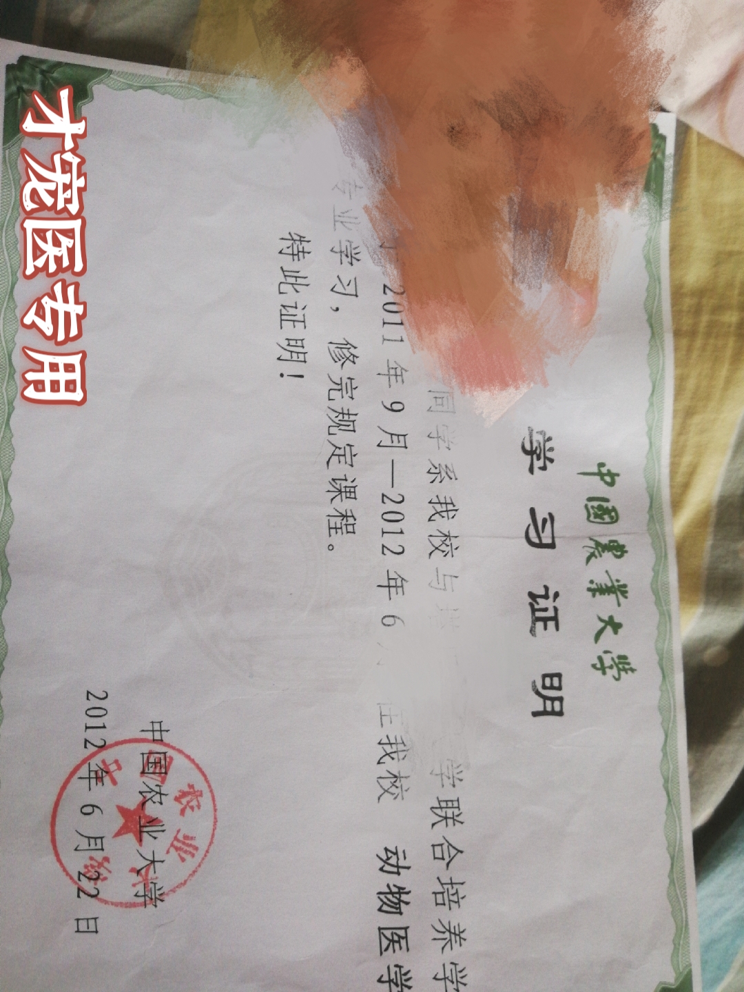 夜诊宠物医生在线24小时咨询中农动医猫咪狗狗问诊咨询兽医传染病 - 图2