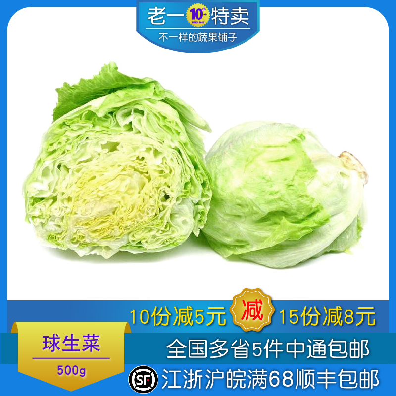 老一特卖 新鲜球生菜 汉堡圆生菜 沙拉蔬菜 西生菜 500g - 图0