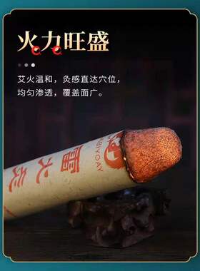 药益宝加粗南阳艾灸条