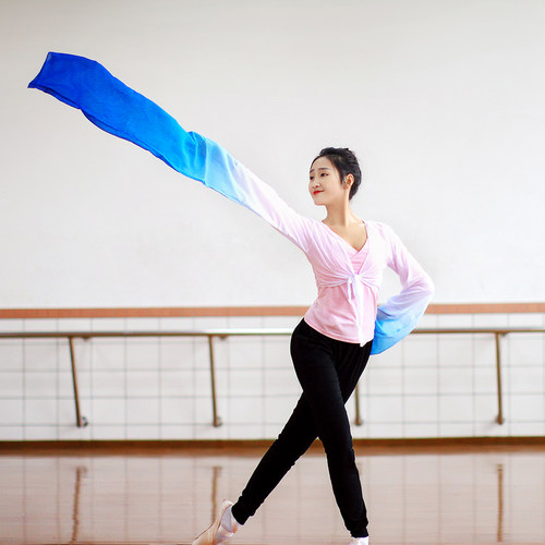 成人惊鸿舞戏曲水袖上衣女藏族舞蹈服装儿童古典练功服甩袖演出服 - 图2