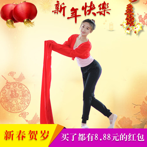 成人惊鸿舞戏曲水袖上衣女藏族舞蹈服装儿童古典练功服甩袖演出服 - 图3