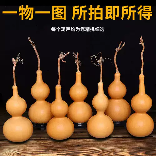 Тыква украшения Венван играет в гостиной гостиной