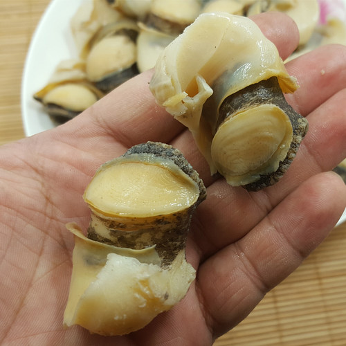 青岛现剥海螺肉大海螺冷冻海螺肉去头去内脏海鲜水产包邮顺丰 - 图0