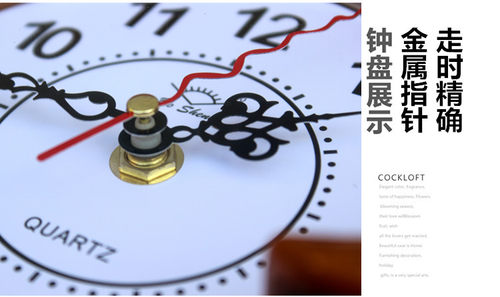 包邮整点报时布谷鸟钟咕咕钟表欧式时尚创意客厅田园小鸟挂钟 - 图3